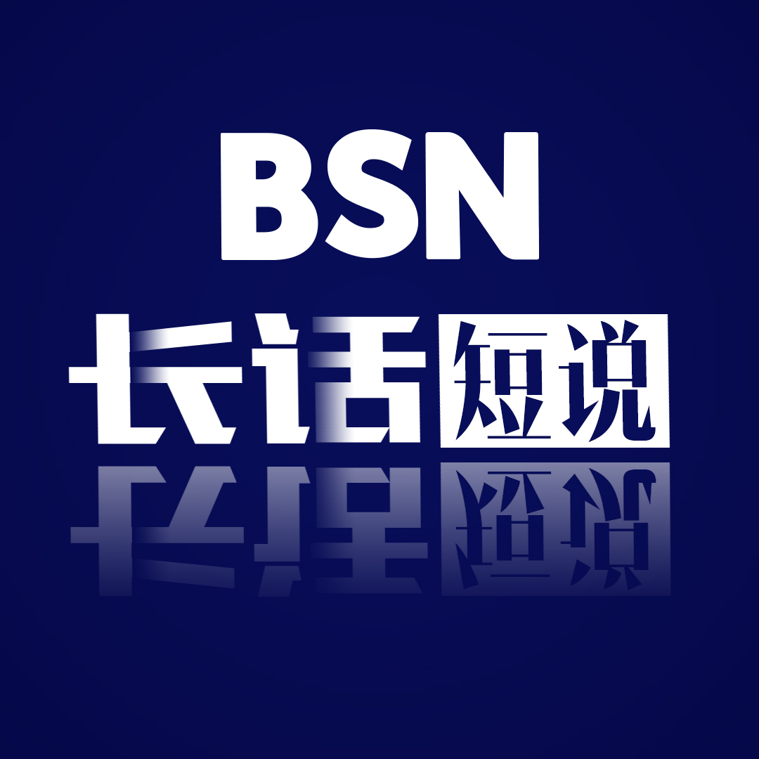 bsn:(bsnk是什么意思中文)